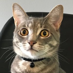 Meet your Posher, Masako